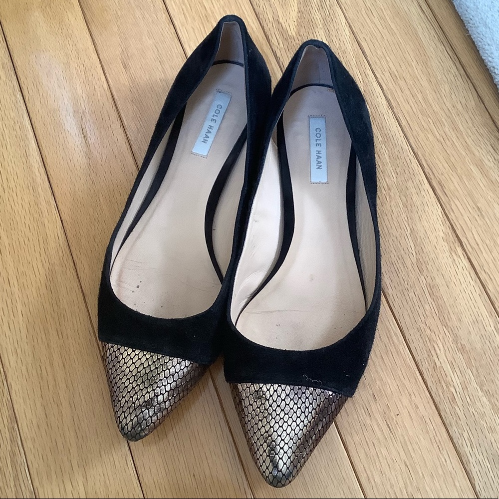 Cole Haan Pointy Flat